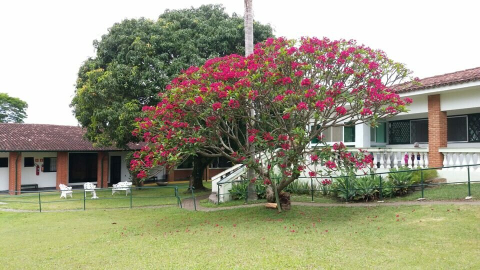 Casa de Repouso, Clinica para idosos, ILPI