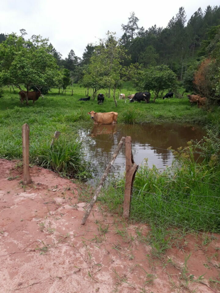 Oportunidade em agronegócio