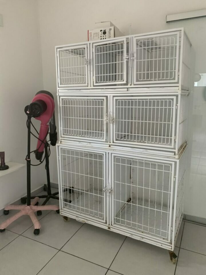 Pet shop