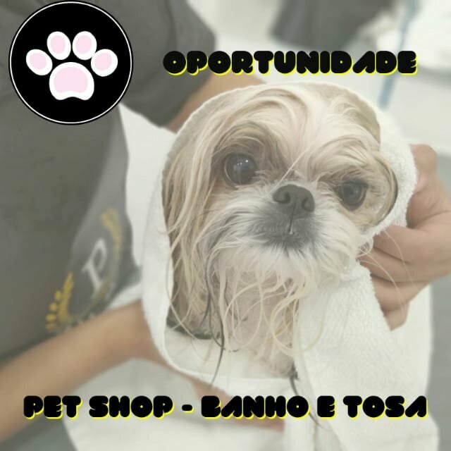 Pet shop