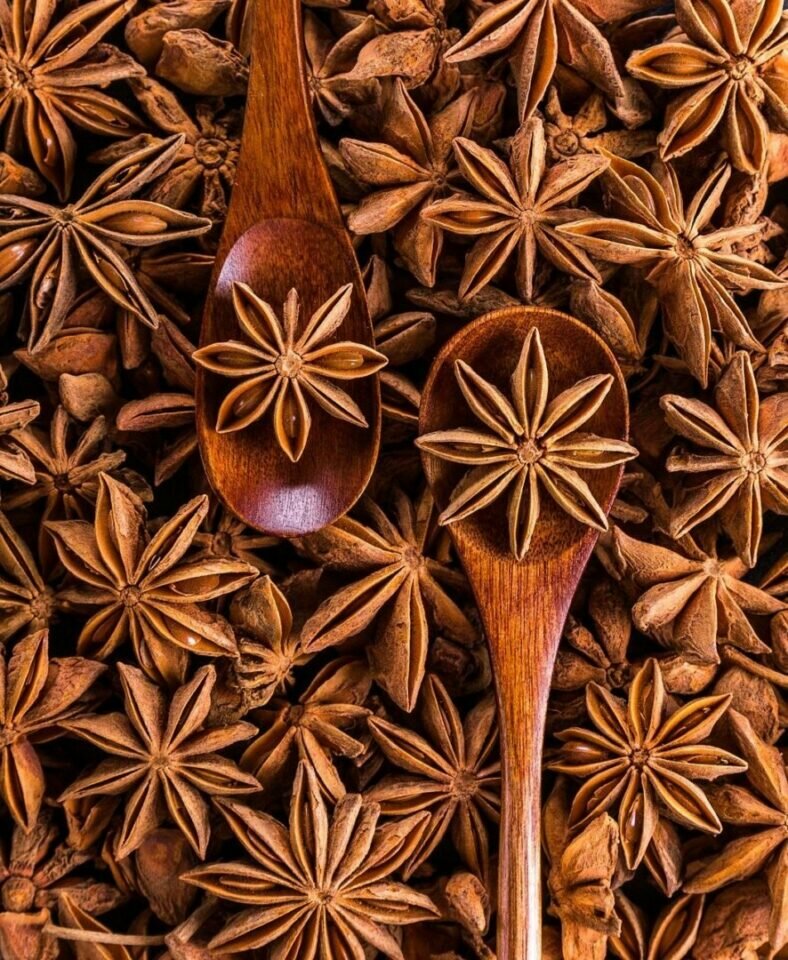 Repasse de Franquias de Produtos Naturais em Santa Maria / RS