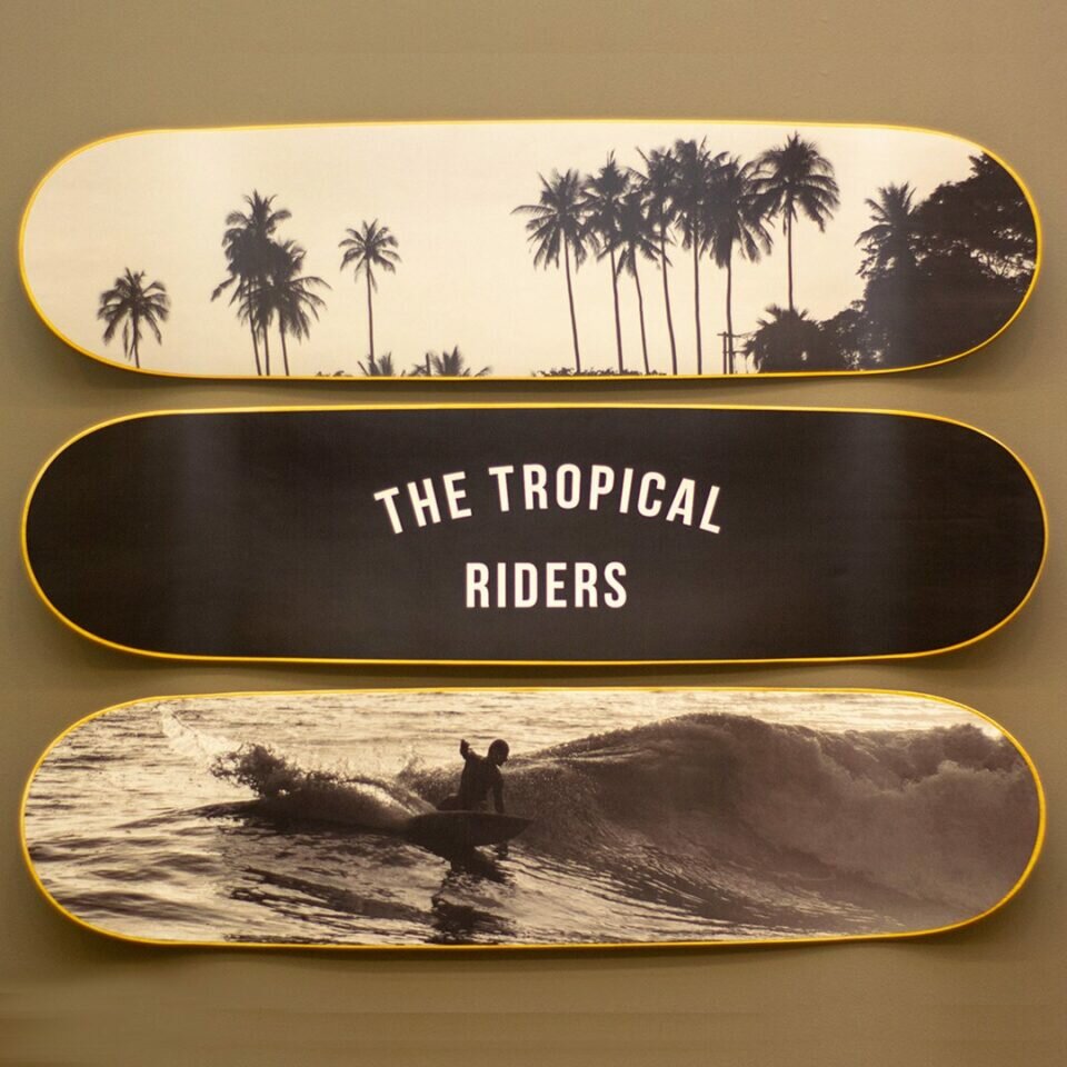 Ecommerce de Decoração de Skate  Surf Venda completa da Marca  Operação