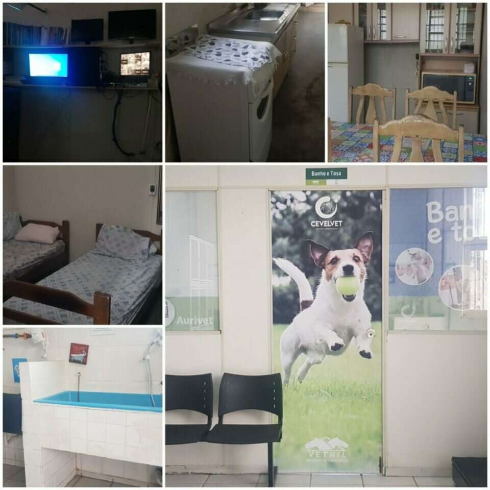 VENDE-SE CLINICA VETERINÁRIA