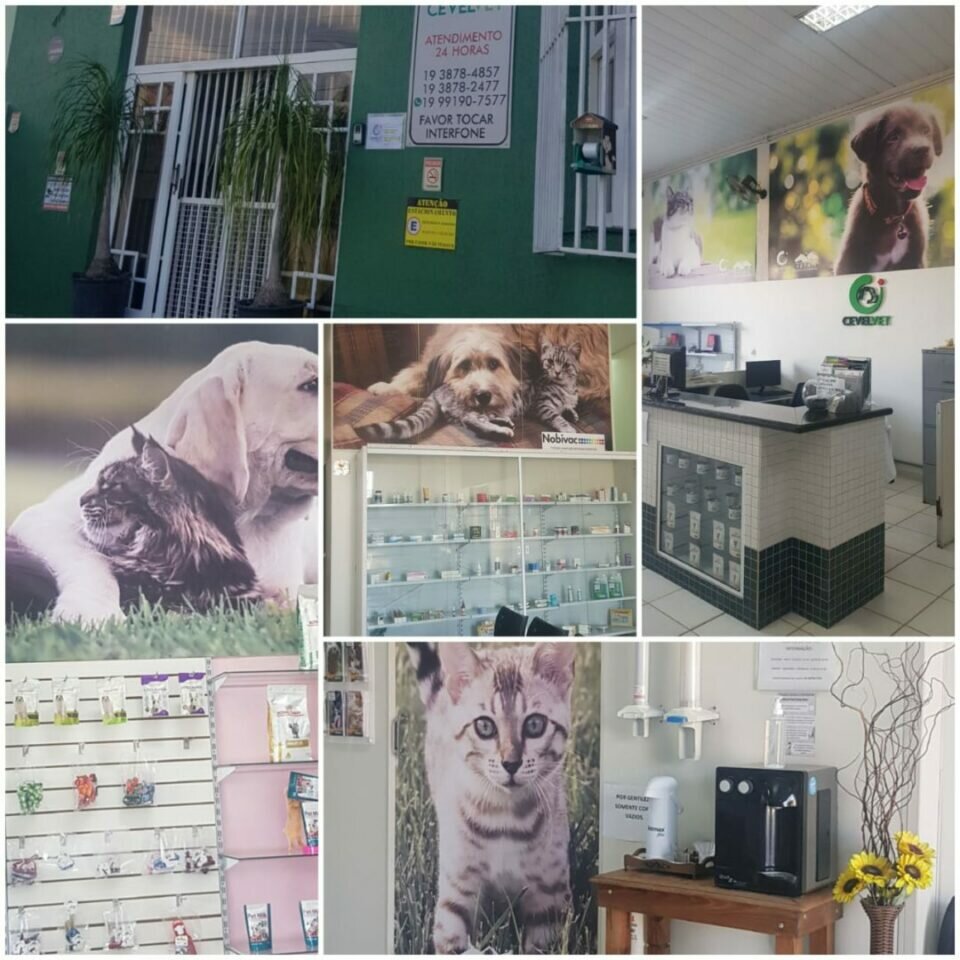 VENDE-SE CLINICA VETERINÁRIA