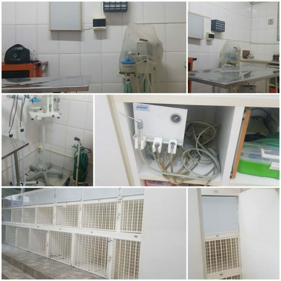 VENDE-SE CLINICA VETERINÁRIA