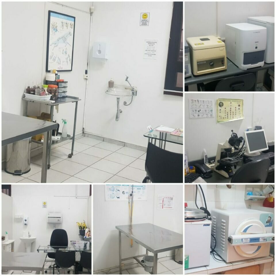 VENDE-SE CLINICA VETERINÁRIA