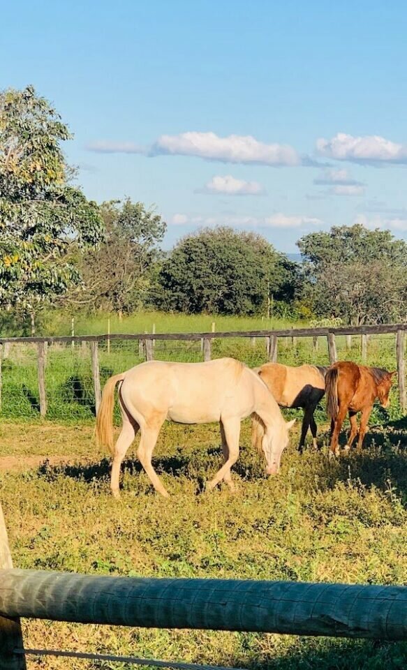 Fazenda no Distrito Federal próxima a Formosa/GO na beira do asfalto
