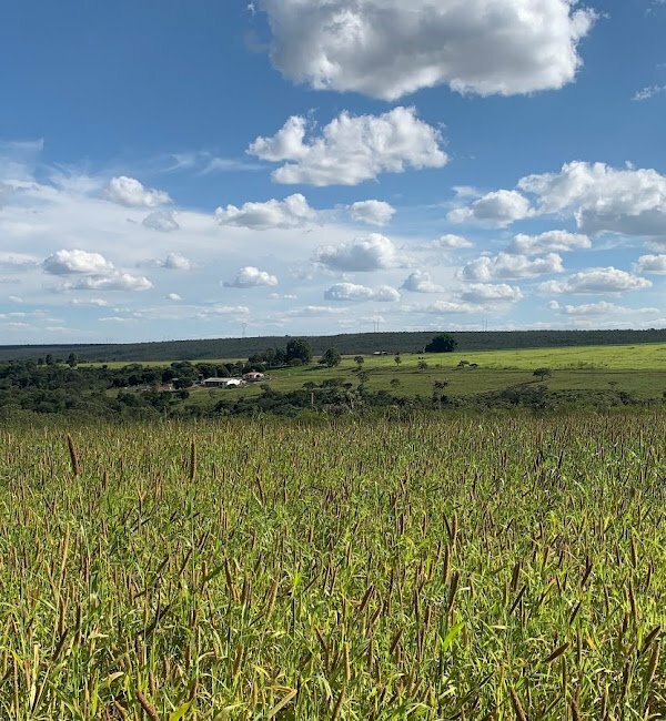Fazenda no Distrito Federal próxima a Formosa/GO na beira do asfalto