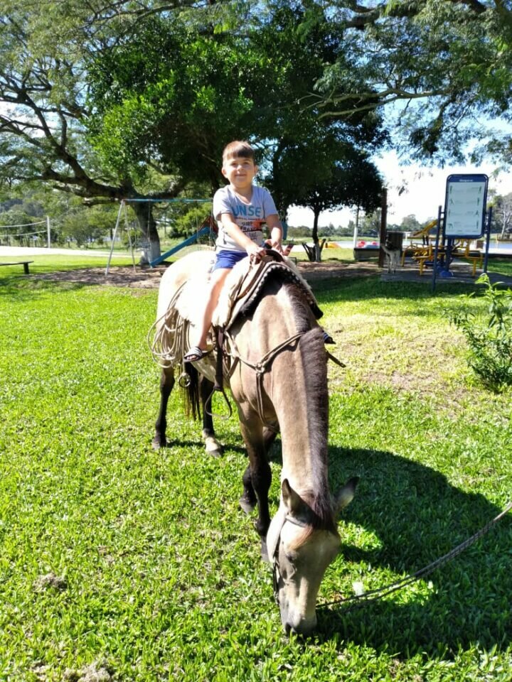 Vendo rancho com porteira fechada / ambiente de fazenda