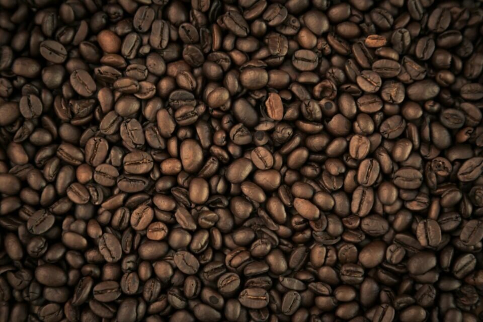 Startup de Cafés Especiais cafeteria, loja, torrefação Região Turística
