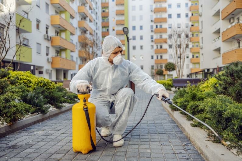 Empresa de Dedetização – Excelência em Qualidade