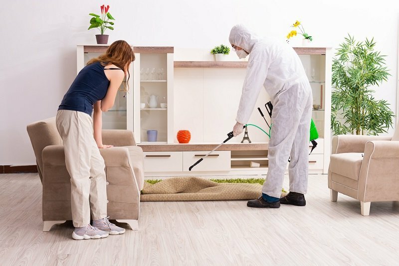 Empresa de Dedetização – Excelência em Qualidade