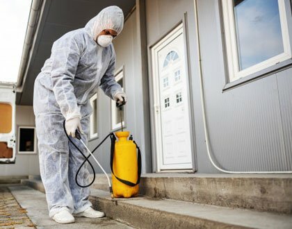 Empresa de Dedetização – Excelência em Qualidade