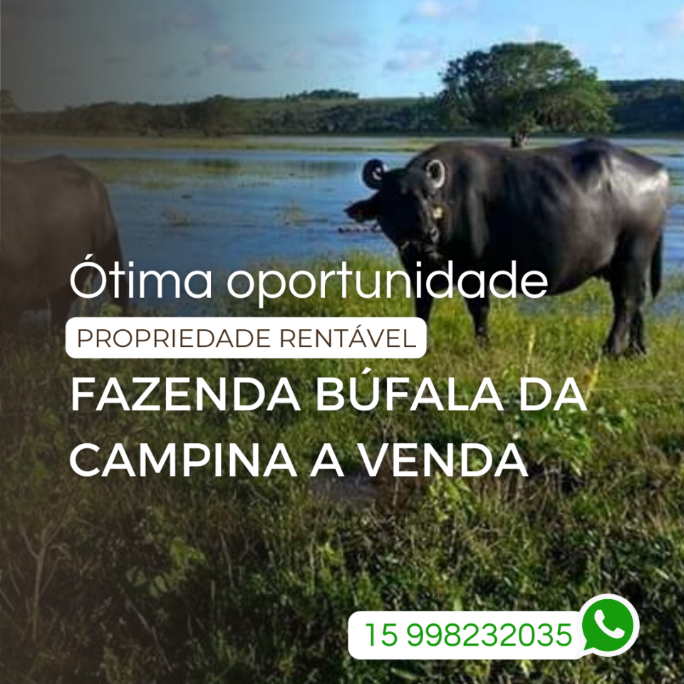 Ótima OPORTUNIDADE de Negócio