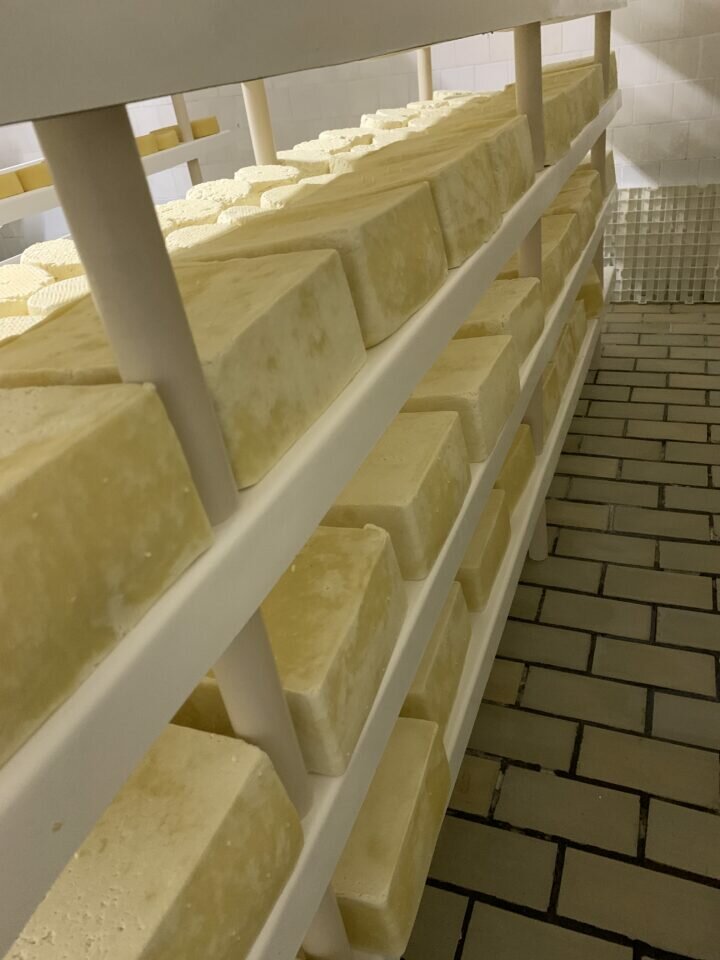 Indústria de Laticínios Sul de Minas