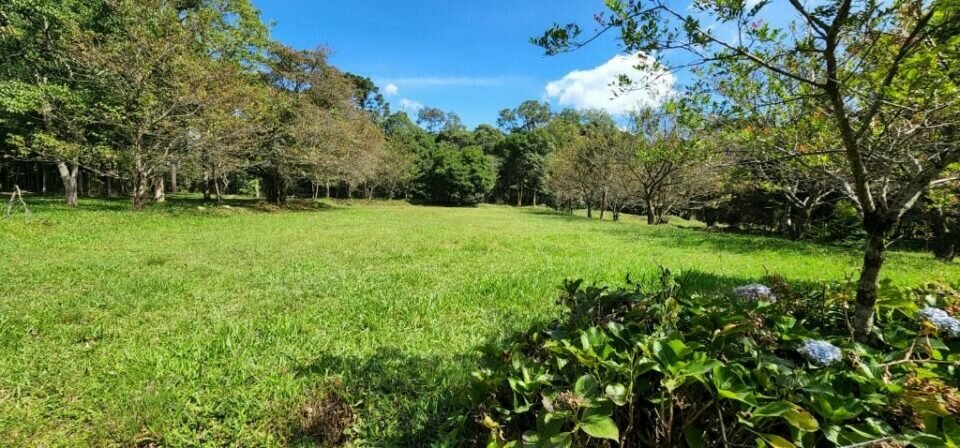 Chácara á Venda Borda do Campo – São José dos Pinhais