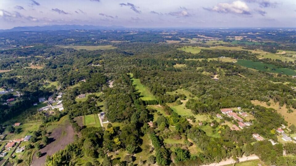 Chácara á Venda Borda do Campo – São José dos Pinhais