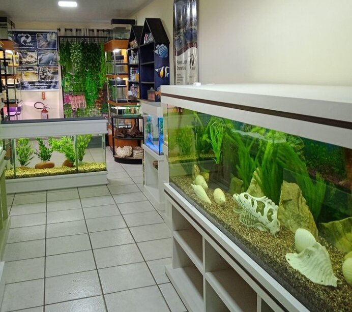 Empresa Peixe Vida Aquários e Lagos ornamentais