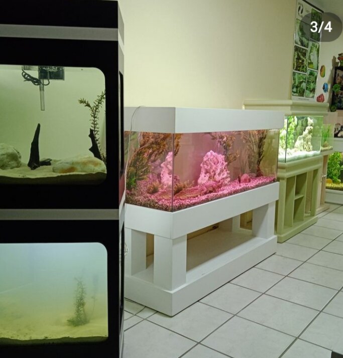 Empresa Peixe  Vida Aquários e Lagos ornamentais