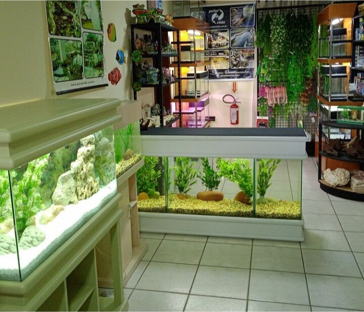 Empresa Peixe  Vida Aquários e Lagos ornamentais