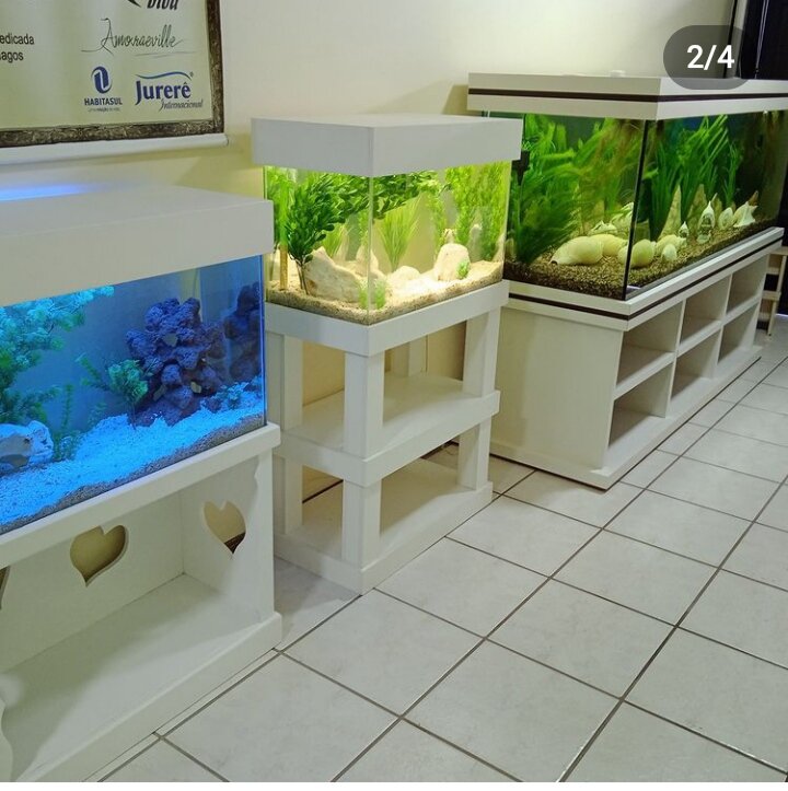 Empresa Peixe  Vida Aquários e Lagos ornamentais