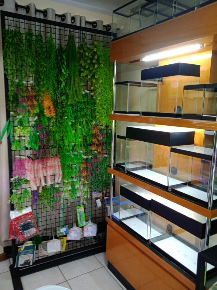 Empresa Peixe  Vida Aquários e Lagos ornamentais