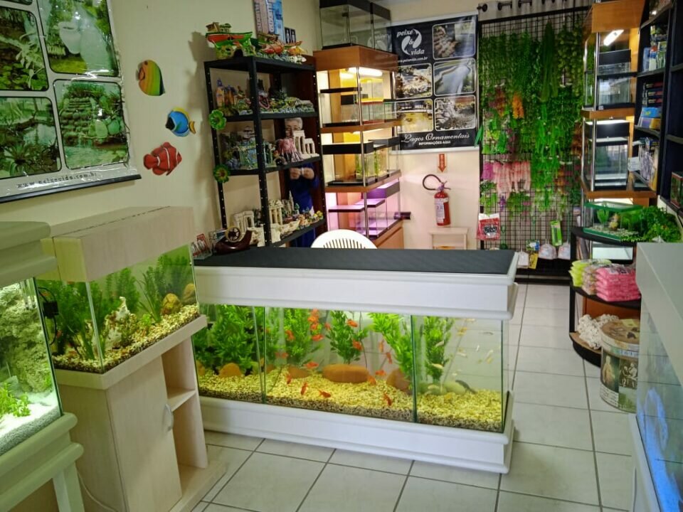 Empresa Peixe  Vida Aquários e Lagos ornamentais