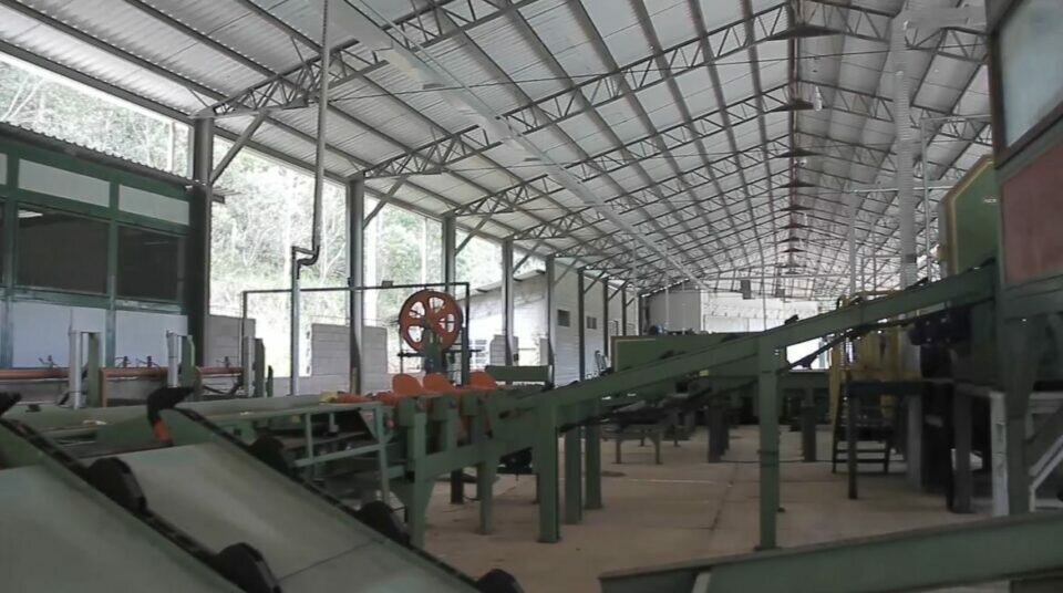 Industria Madeireira