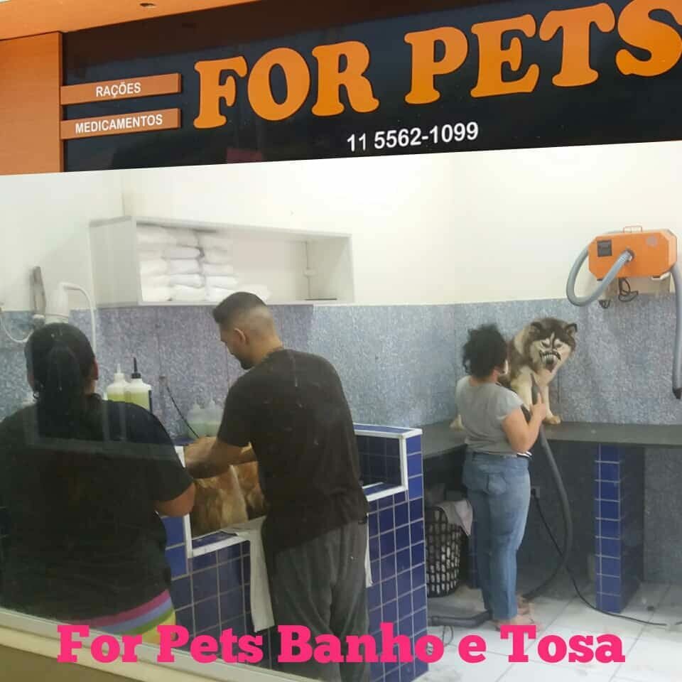 PET SHOP