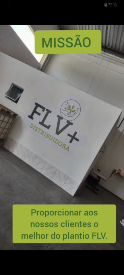 Flv distribuidora de frutas e legumes