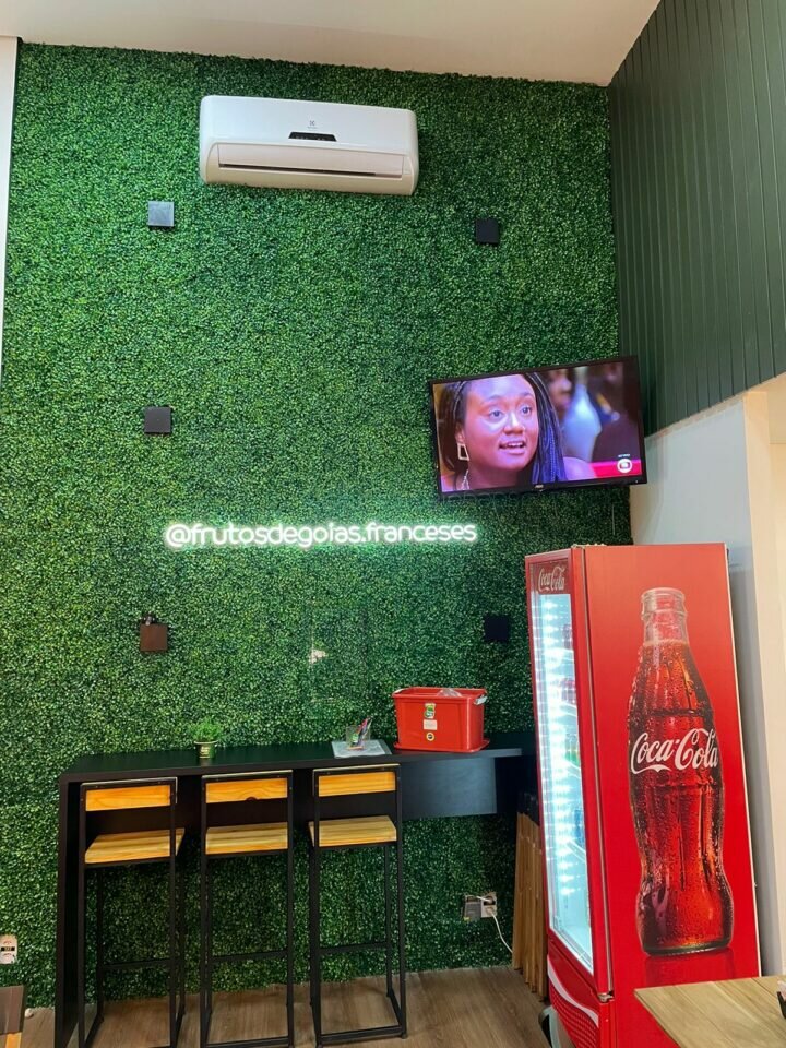 Vendo Franquia de Sorvetes