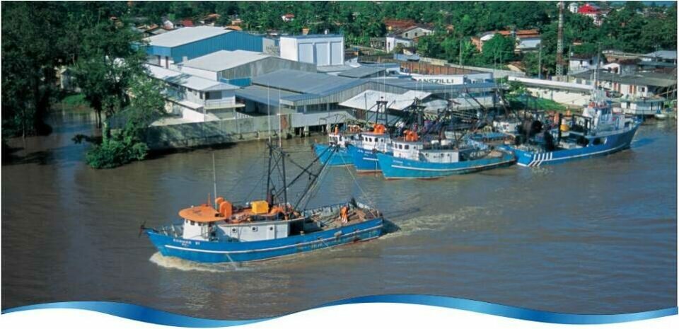 Industria de Pesca