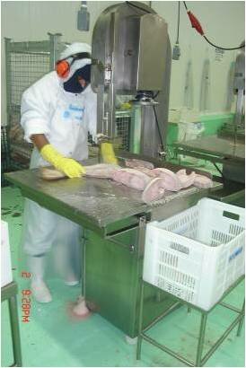 Industria de Pesca