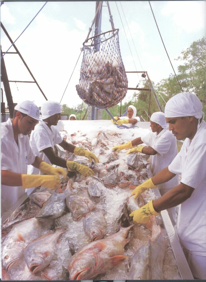 Industria de Pesca
