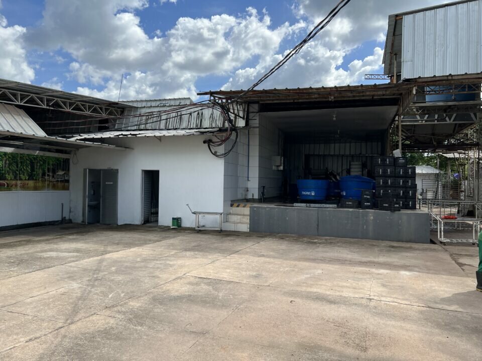 Vendo Fabrica de Açaí 6500000,00 PRONTA PARA FUNCIONAR