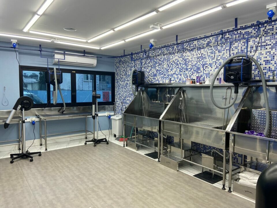 ACEITO NEGÓCIO – LeMalí Pet Center – Pet Shop