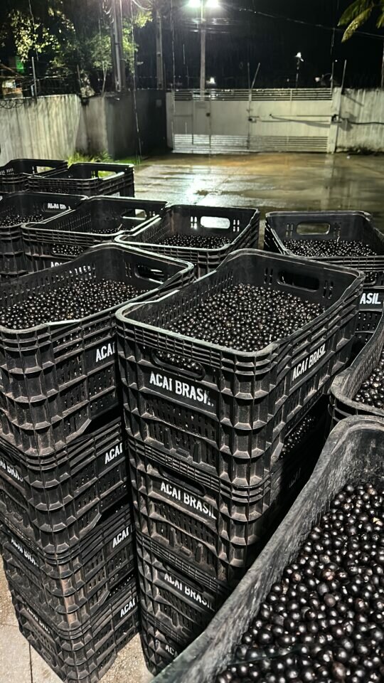 Vendo Fabrica de Açaí 6500000,00 PRONTA PARA FUNCIONAR