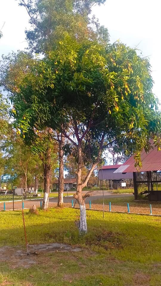 Fábrica de cimento A Venda no Norte do Brasil