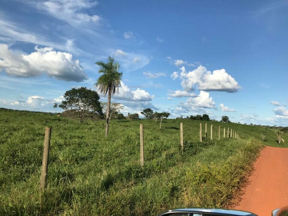 Linda Fazenda bem localizada e rica em água, pasto e terra