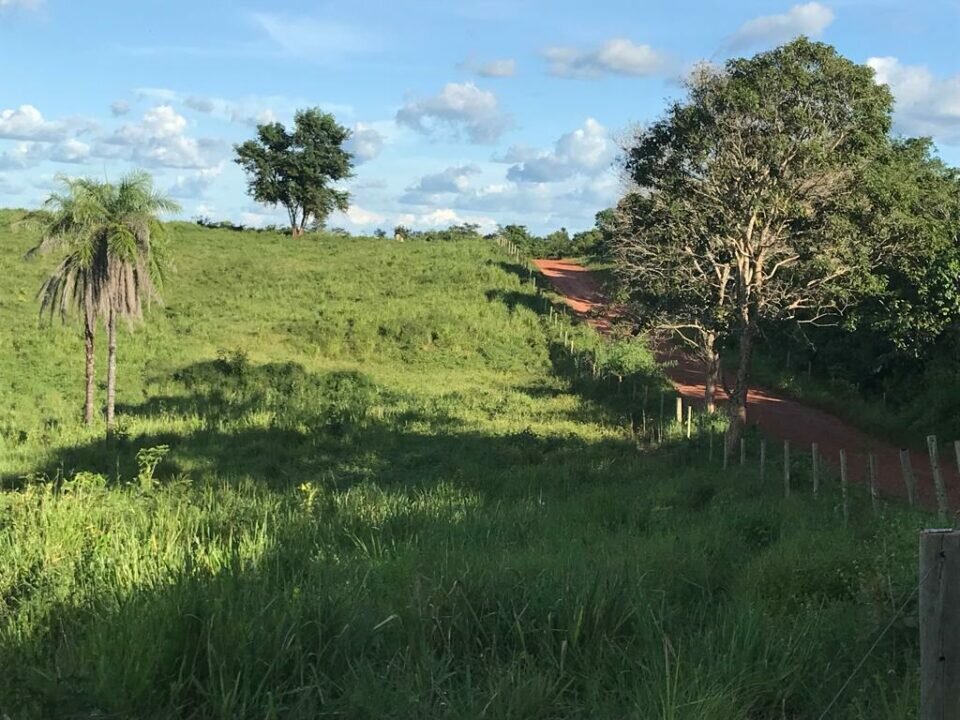 Linda Fazenda bem localizada e rica em água, pasto e terra