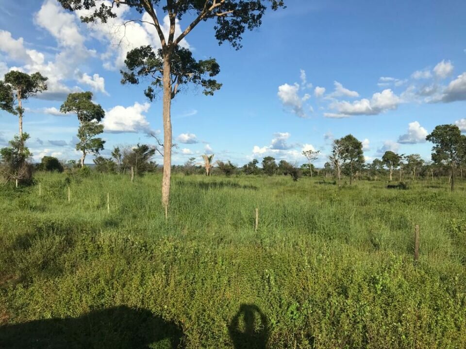 Linda Fazenda bem localizada e rica em água, pasto e terra