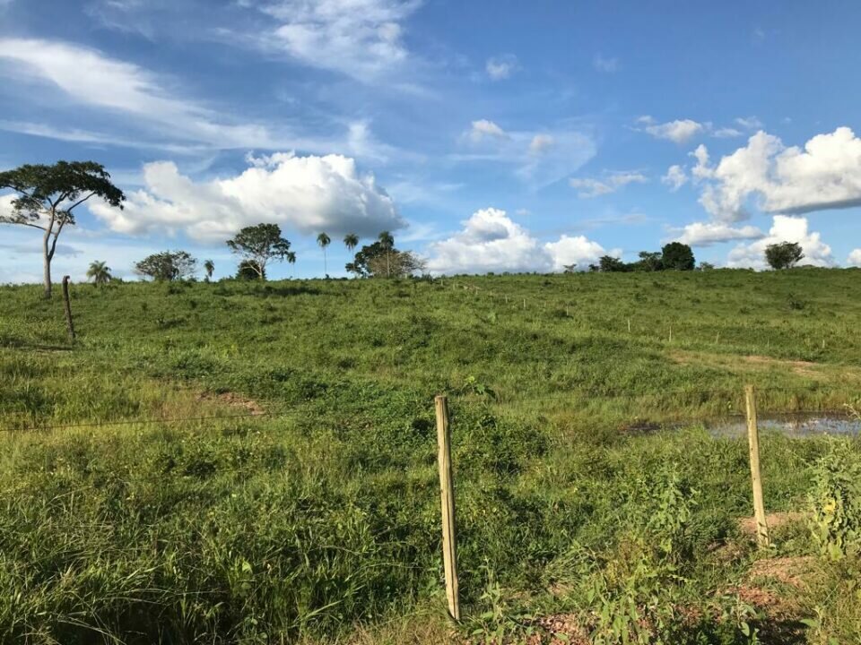 Linda Fazenda bem localizada e rica em água, pasto e terra