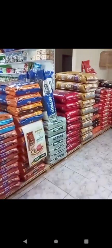 Agropecuária