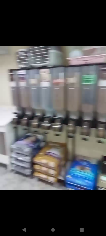 Agropecuária