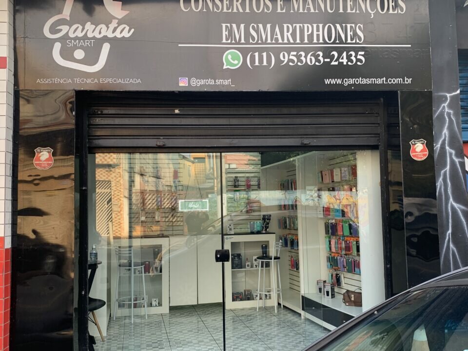 Assistência técnica especializada