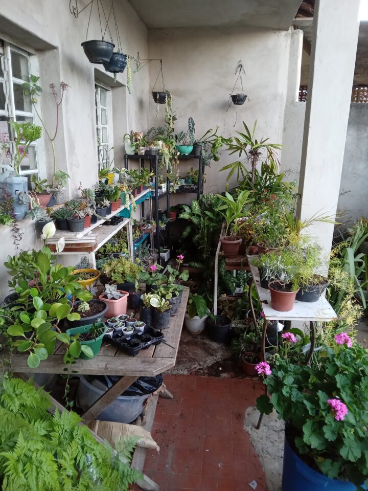 FLORICULTURA COMPLETA para retirar