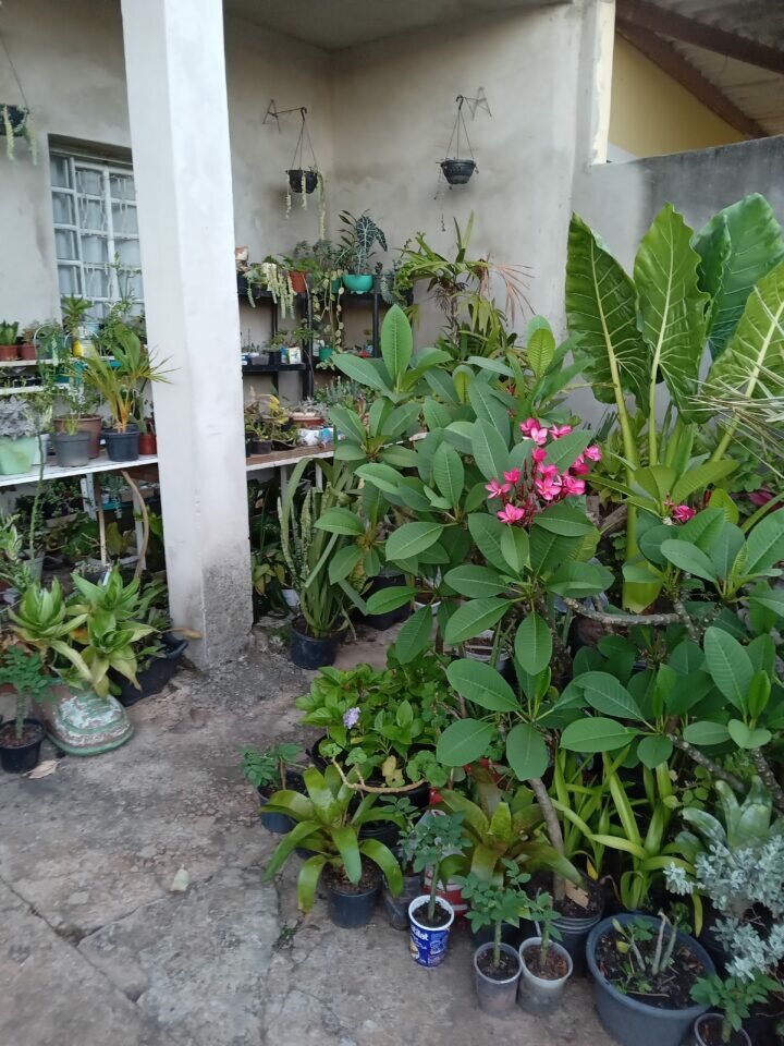 FLORICULTURA COMPLETA para retirar