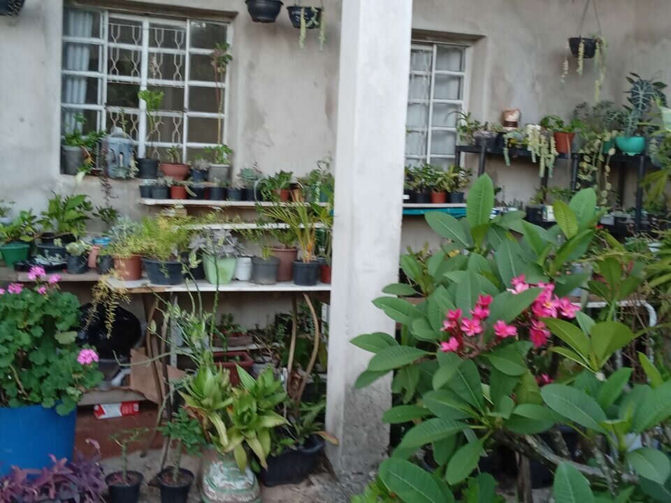 FLORICULTURA COMPLETA para retirar