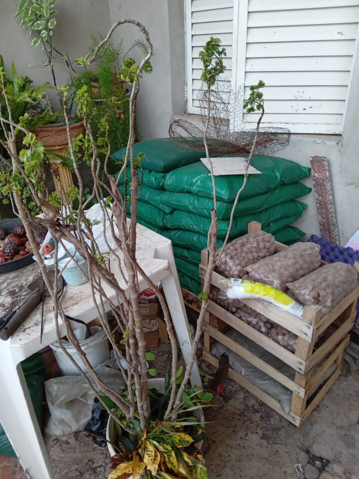 FLORICULTURA COMPLETA para retirar