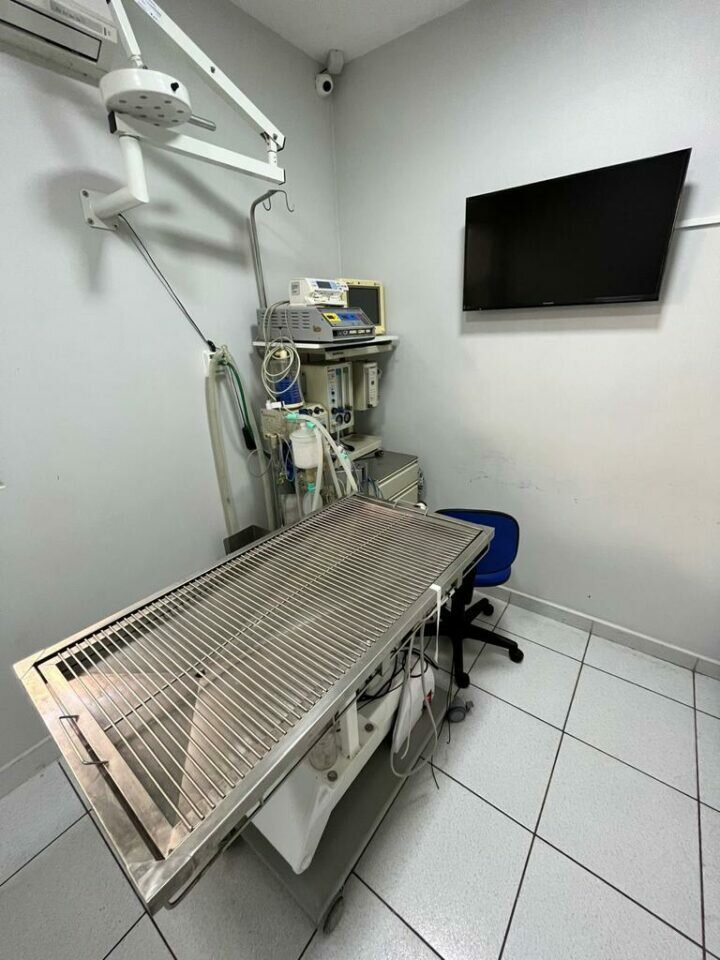 Hospital Veterinário